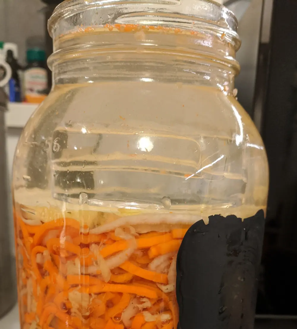Lots of brine headspace at the top of the jar.