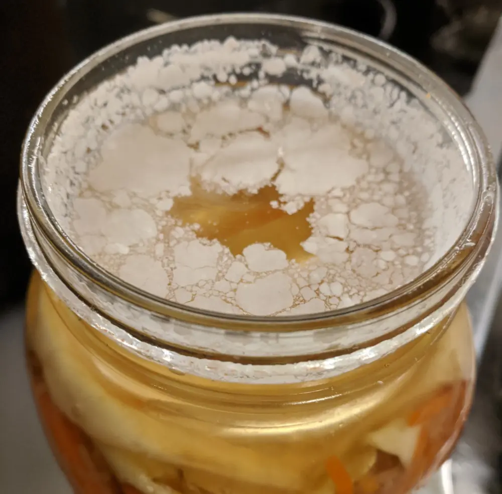 looking down at a white patchy layer of Kahm Yeast growing on the surface of the brine inside a wide mouth mason jar.